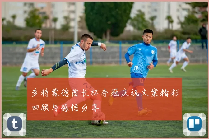 多特蒙德酋长杯夺冠庆祝文案精彩回顾与感悟分享