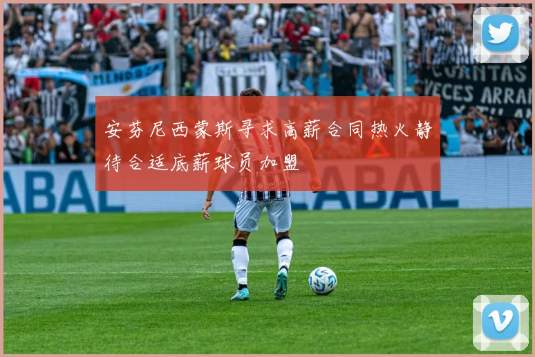 安芬尼西蒙斯寻求高薪合同热火静待合适底薪球员加盟